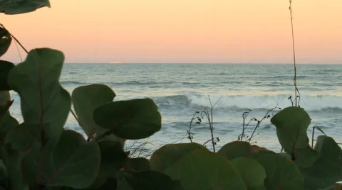 Beach Landscape Stock Footage 610464