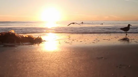 Beach Landscape Stock Footage 33546788