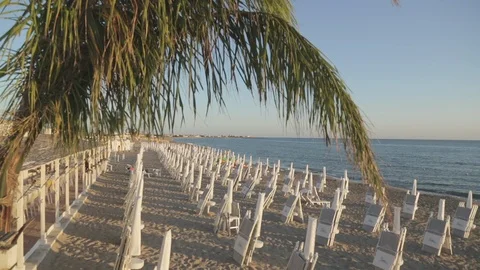 Beach landscape with palm tree Stock Footage 88170944