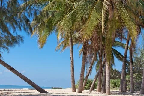Beach landscape Stock Photos