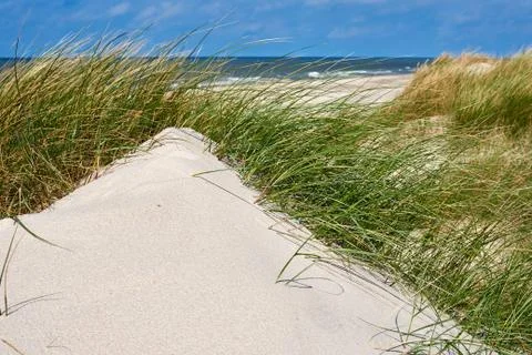 Beach landscape Stock Photos