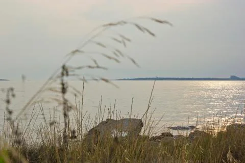 Beach landscape Stock Photos