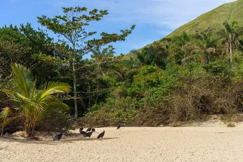 Beach landscape Stock Photos