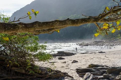 Beach landscape Stock Photos