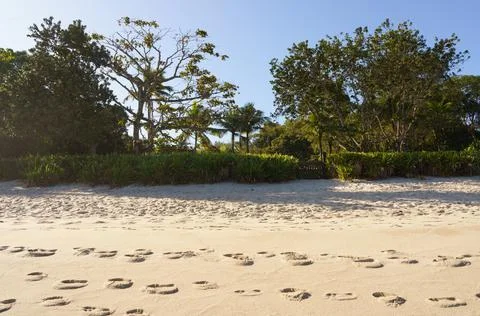 Beach landscape Stock Photos