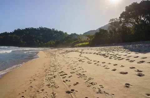 Beach landscape Stock Photos