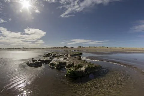 Beach landscape: Rocks with algae semi covered by sea water. Stock Photos