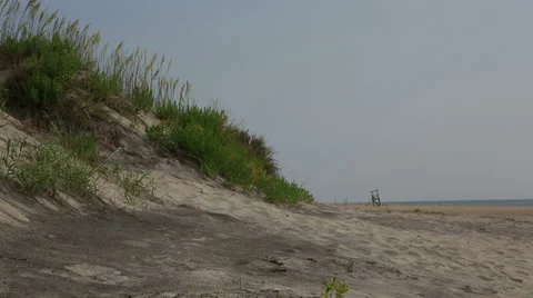 Beach landscape with sand dunes Stock Footage 36752898
