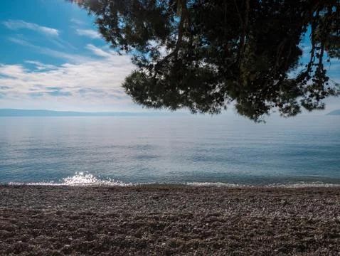 Beach landscape under pine tree Foto stock