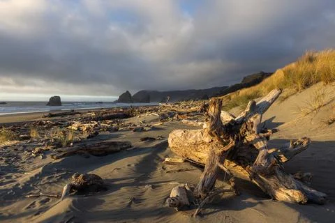 A beach with a large log on the sand Foto stock