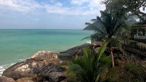 Beach with large rocks and palm trees growing among them. Stock Footage 230078638