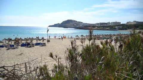 Beach large shot Stock Footage 128347961