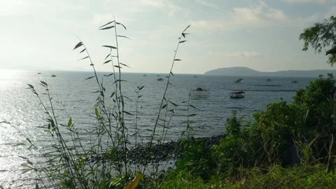 Beach on Lemukutan Island with a mountain backdrop Stock Footage 312657376