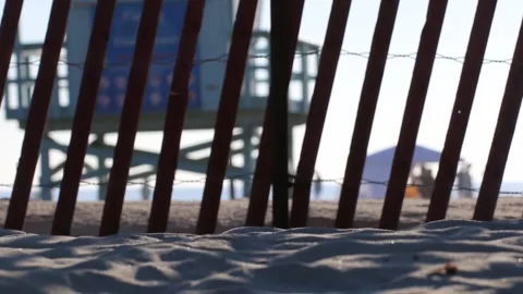 Beach life Stock Footage 166805448