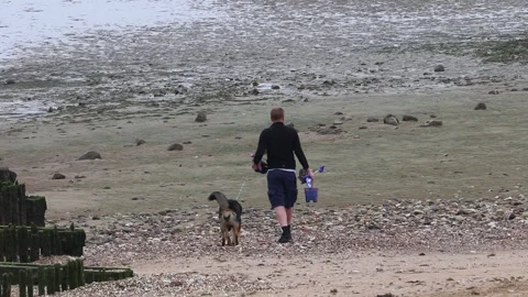 Beach life fun on the sand  low tide adults and children dog walkers Video stock 137580141