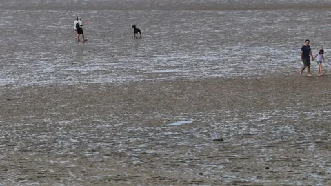 Beach life fun on the sand playing in the low tide adults and children Video stock 137577175