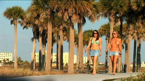 Beach Lifestyle Stock Footage 263129
