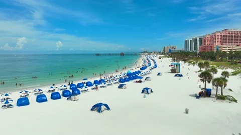 Beach lined with blue beach chairs and people enjoying summer. Stock Footage 239550576