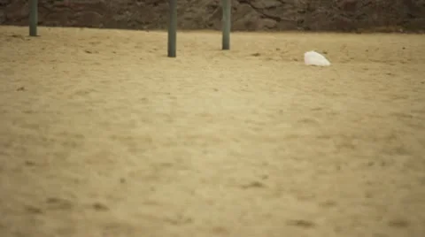 Beach Litter Stock Footage 11442580