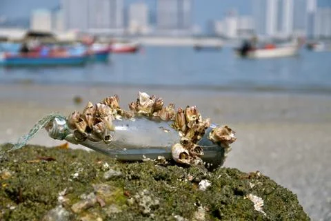 Beach litter Stock Photos
