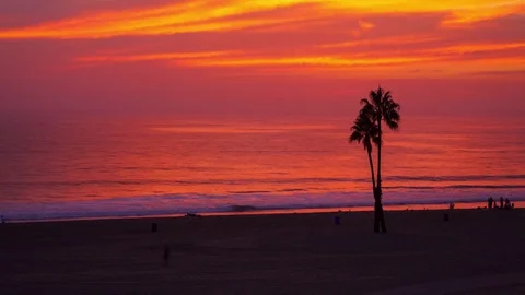 A Beach with a Lone Palm Tree Between Sunset and Night Video stock 76632142