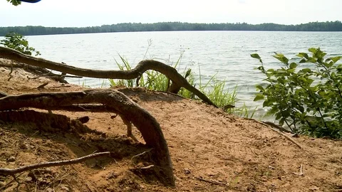 Beach Looking Towards Lake Stock Footage 115272144