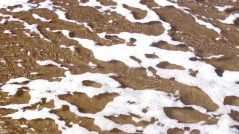 A beach with a lot of foam and bubbles on the sand Stock Footage 295389917