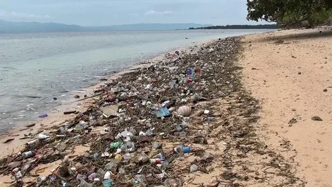 Beach with a lot of plastic waste Video stock 104045433