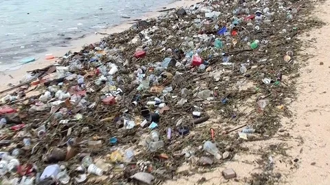 Beach with a lot of plastic waste Video stock 104045524