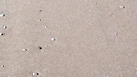 A beach with a lot of small rocks on the sand Stock-Footage 295390037