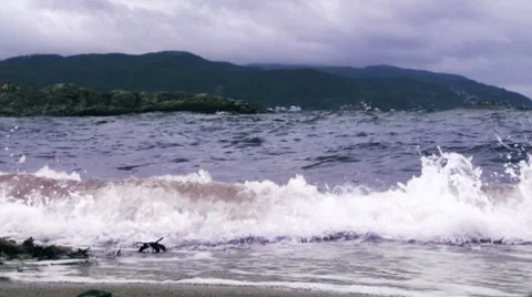 Beach Low-angle shot Video stock 8551830