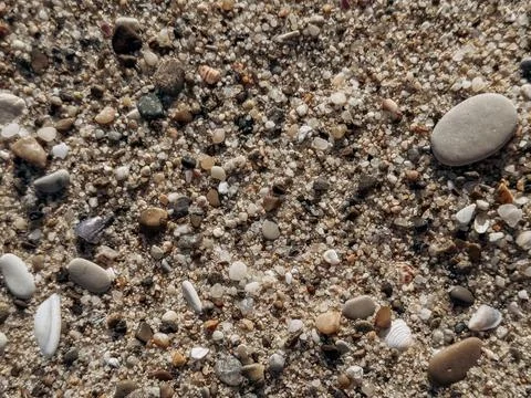 Beach macro sand texture with seashells and pebbles in warm sunlight perfec.. Stock Photos