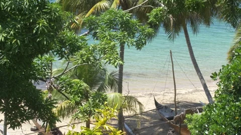 Beach in madagascar Stock Footage 258586291