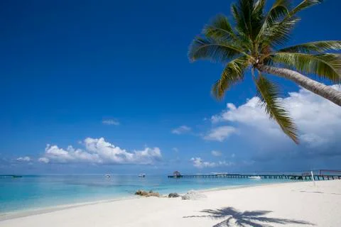 Beach in the maldives Stock Photos