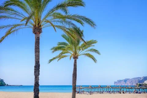 Beach in mallorca 스톡 사진