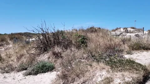 Beach at Malo-les-Bains in Dunkirk France Video stock 342815558