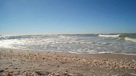 BEACH WITH MANY SHELLS AND WAVES GENTLY CRASHING, STATIC WITH AUDIO Stock Footage 72632059
