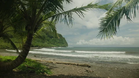 A Beach in Maui 库存影片 345747726