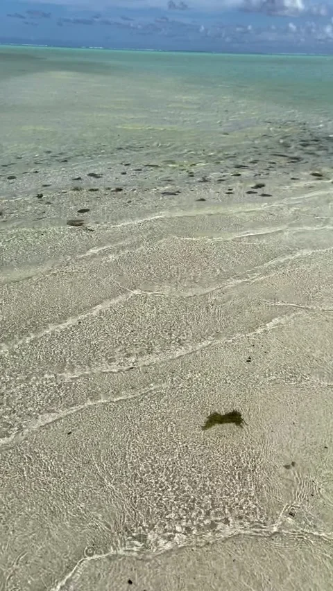 Beach in Maupiti Stockbeeldmateriaal 344307349