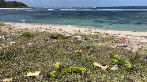 Beach in Mauritius covered with plastic waste Stock-Footage 219348188