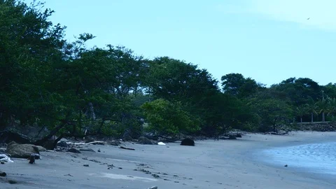 Beach medium Stock Footage 126551092