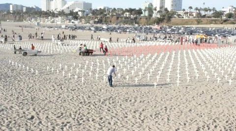 Beach memorial Video stock 692254