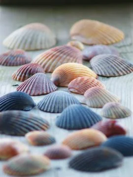 Beach memories Fotos Stock