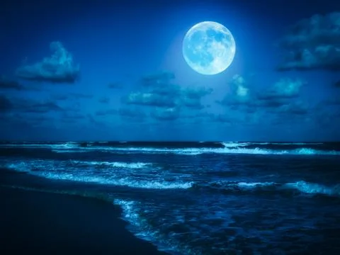 Beach at midnight with a full moon 库存照片