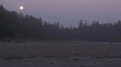 Beach Moon Twilight Trees Stock-Footage 47289198