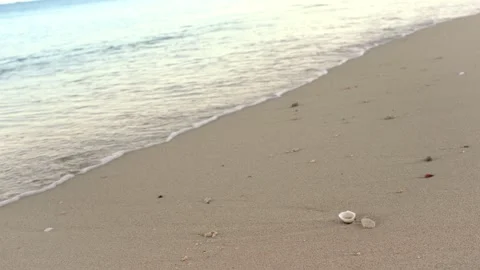 Beach in morning, small sea waves washing sand and some seashells closeup d.. Stock Footage 245356375
