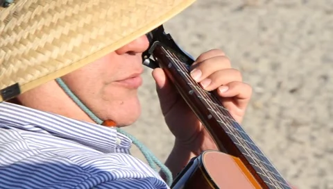 Beach musician Stock Footage 4499488