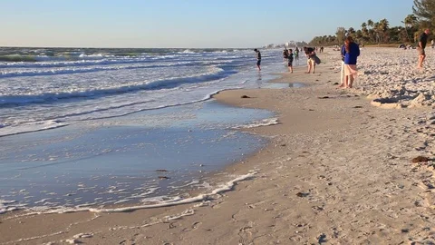 Beach in Naples, Florida Stock-Footage 73841855