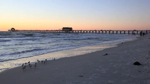 Beach in Naples, Florida Vidéo 73963138