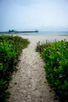 Beach at Naples Florida Stock Photos